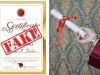 Fake Qualifications in South Africa: What’s Being Done About It? The scourge of fake qualifications in South Africa is growing rapidly. Here's what employers can do.