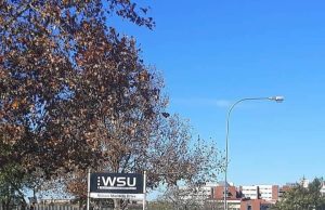 WSU Council Chair Blames Financial Crisis on Discriminatory Funding Model Walter Sisulu University. Thembeka Ngcukaitobi. WSU funding. unequal national funding. funding model in South Africa. funding. Is WSU a good University.