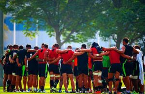 Wales Fields Rookie Squad Against Springboks Due to Test Window Conflict Steve Tandy. Wales. XV possesses. Aaron Wainwright. South Africa. Springboks. 2027 World Cup. Springboks' depth.Springboks vs wales.