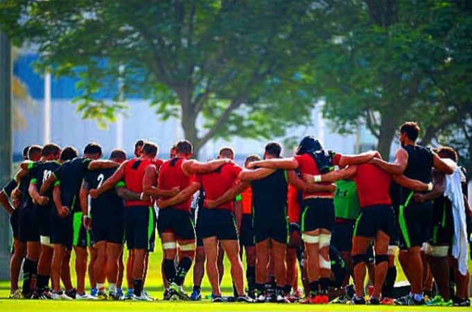 Wales Fields Rookie Squad Against Springboks Due to Test Window Conflict Steve Tandy. Wales. XV possesses. Aaron Wainwright. South Africa. Springboks. 2027 World Cup. Springboks' depth.Springboks vs wales.