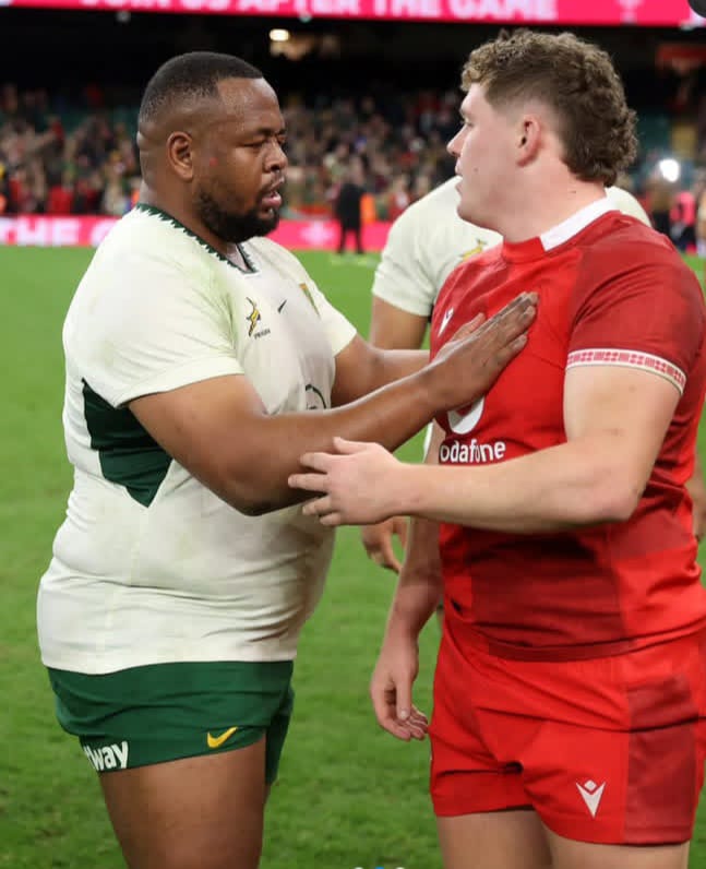 Springboks. Wales rugby team. Wales Vs Springboks result. Springboks Scoreline. Etzebeth’s Red Card. Rassie Erasmus. 