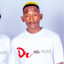 Limpopo Bids Farewell to Dr Nel; Premier Urges Prayers for Kharishma