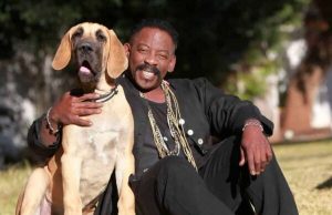 Broadcaster Dali Tambo Recovering After Mild Heart Attack Dali Tambo heart attack 2026. Dali Tambo hospitalised. People of the South host health update. Stress-induced hypertension in celebrities. Oliver and Adelaide Tambo son. Koketso Growth CEO. Mzansi media legends.