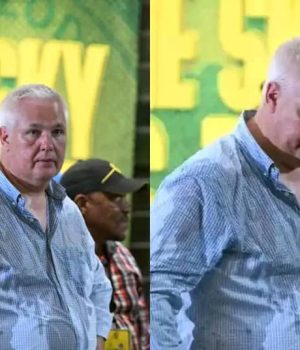 Chaos at Loftus as Fans Drench Flemming Berg After Al Hilal Stalemate Mamelodi Sundowns supporter conduct. Sundowns vs Al Hilal incident. Yellow Nation discipline. Sundowns technical team harassment. CAF Champions League news. PSL fan behavior. Masandawana official statement. Football fan intimidation South Africa.