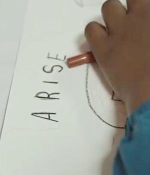 How Ceramic Birds are Bridging the Divide Between Stellenbosch University and Kayamandi Project ARISE Stellenbosch. Prof Jonathan Jansen art project. Ikhaya Primary Kayamandi. Stellenbosch University community partnership. Art-led education South Africa.