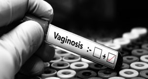 UCT Scientists Pioneer “Live Medicine” to Combat Bacterial Vaginosis UCT research. Lactobacillus crispatus. VIBRANT study. women's reproductive health. microbiome science. Bacterial Vaginosis treatment. vaginal microbiome. live biotherapeutic products.