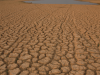 New £60M Climate-Health Hubs to Shield Millions Wellcome Trust Africa. climate change public health. African university research. climate adaptation strategies. global health justice. African Climate-Health Hubs