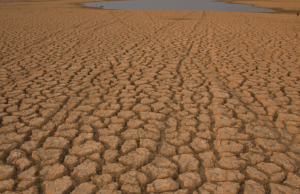 New £60M Climate-Health Hubs to Shield Millions Wellcome Trust Africa. climate change public health. African university research. climate adaptation strategies. global health justice. African Climate-Health Hubs