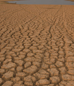 New £60M Climate-Health Hubs to Shield Millions Wellcome Trust Africa. climate change public health. African university research. climate adaptation strategies. global health justice. African Climate-Health Hubs
