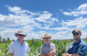 From the Soils of Nxuba to the Classrooms of Tomorrow: UWC’s Climate-Smart Revolution UWC Agriculture Project. Marlow Agricultural High School. Climate-smart farming South Africa. Plant-growth-promoting bacteria. Nxuba farming. Dr. Anita Burger UWC.