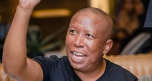 Appeal Granted: Julius Malema Stays Out of Prison for Now EFF leader court case. Twanet Olivier judgment. South African political news. Sisa Dukashe firearm trial. Julius Malema sentencing. Julius Malema appeal prison sentence