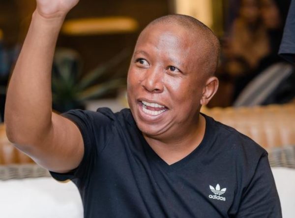 Julius Malema appeal prison sentence EFF leader court case. Twanet Olivier judgment. South African political news. Sisa Dukashe firearm trial. Julius Malema sentencing. Julius Malema appeal prison sentence