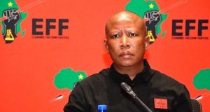 EFF Leader Julius Malema Sentenced to Five Years in Firearm Case EFF leader prison sentence. Twanet Olivier judgment. Sisa Dukashe Stadium incident. Malema firearm case appeal. SA political news 2026. Julius Malema sentenced five years.