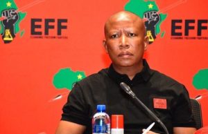 EFF Leader Julius Malema Sentenced to Five Years in Firearm Case EFF leader prison sentence. Twanet Olivier judgment. Sisa Dukashe Stadium incident. Malema firearm case appeal. SA political news 2026. Julius Malema sentenced five years.