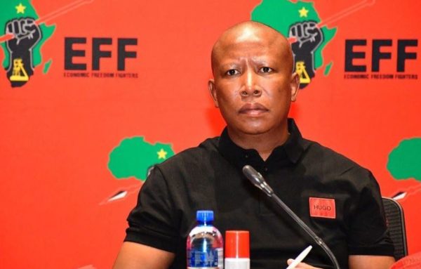 Julius Malema sentenced five years EFF leader prison sentence. Twanet Olivier judgment. Sisa Dukashe Stadium incident. Malema firearm case appeal. SA political news 2026. Julius Malema sentenced five years.