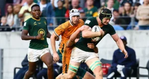 Champions of Africa: Junior Boks Crush Australia to Secure U20 Title Junior Springboks Win 2026 U20 Rugby Championship. SA vs Australia Result. Junior Springboks, U20 Rugby Championship, SA vs Australia U20, Gqeberha Rugby, Kevin Foote, Yaqeen Ahmed, Junior Boks Champions.