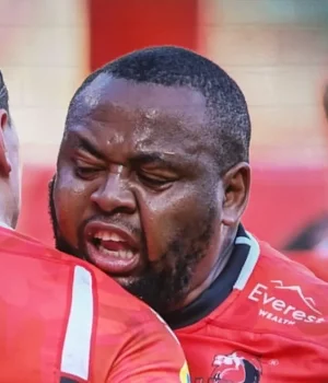 Home Quarter-Finals on the Line for SA Giants Stormers vs Ulster, Lions vs Leinster, Bulls vs Zebre, Sharks rugby news, URC log standings 2026. URC Round 17 preview SA teams
