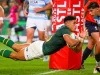 Three Rising Stars Ready to Lead the Springbok Attack Sacha Feinberg-Mngomezulu, Vusi Moyo, Rassie Erasmus 2031, Junior Springboks, Springboks vs England 2026. Springbok flyhalf succession