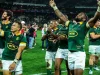 Steven Kitshoff Makes Bold Prediction for Future Springbok Captain Ruan Nortje Springbok captain, Siya Kolisi successor, Steven Kitshoff prediction, Springbok leadership 2027, Rassie Erasmus captaincy, Bulls rugby news.