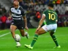Springboks to Kick Off 2026 Season Against Barbarians in Gqeberha Springboks vs Barbarians 2026, Siya Kolisi homecoming, Rassie Erasmus Eastern Cape, Nelson Mandela Bay Stadium rugby, Barbarians rugby squad, South African rugby schedule 2026.
