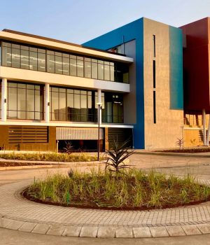 Stadio Denies Claims of AI Replacing Human Markers Stadio AI marking, South African private universities, AI in higher education, Stadio traffic light model, digital education South Africa.