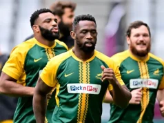 Who Will Succeed Siya Kolisi as the Springboks’ No. 6? Siya Kolisi retirement, Springbok No 6 candidates, Marco van Staden, Paul de Villiers rugby, Springbok captaincy successor, SA Rugby news 2026.