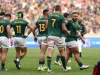 The Master Plan: Rassie Erasmus Warns Springbok Squad Will Rotate Immediately After England Clash Rassie Erasmus, Faf de Klerk omitted, Nations Championship 2026, Siya Kolisi, Springboks vs England, SA Rugby squad rotation. Rassie Erasmus Confirms Imminent Springbok Squad Changes After England Test. Springbok squad changes