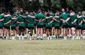 Rassie Erasmus Drops Crucial Springbok Injury & Selection Updates Ahead of England Clash Springbok injury update, Rassie Erasmus, Wilco Louw, Pieter-Steph du Toit lock, Springboks vs England lineup, South African rugby news. Springboks Injury Update: Rassie Erasmus Clarifies Wilco Louw Omission & Lock Crisis