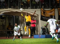 ‘Nobody Forced You to Sign’ — Legend Warns In-Demand Lilepo to Honour Kaizer Chiefs Contract Glody Lilepo transfer, Kaizer Chiefs news, Robson Muchichwa. Lilepo contract status, Zamalek transfer rumors, AS FAR interest Lilepo, Kaizer Chiefs departures, Betway Premiership updates. Robson Muchichwa Warns Glody Lilepo to Honour Kaizer Chiefs Deal. Former Kaizer Chiefs star Robson Muchichwa drops a blunt warning for Glody Lilepo amidst heavy transfer interest from Zamalek, AS FAR, and Raja Casablanca.