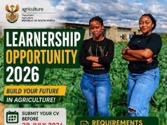 Earn While You Learn: Department of Agriculture Opens 2026 Provincial General Worker Learnership CareersTime learnerships, provincial agricultural training, youth employment South Africa, government skills development. Department of Agriculture learnership 2026, General worker learnership, R9250 stipend learnership, Grade 9 jobs South Africa, ABET learnerships