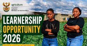 Earn While You Learn: Department of Agriculture Opens 2026 Provincial General Worker Learnership CareersTime learnerships, provincial agricultural training, youth employment South Africa, government skills development. Department of Agriculture learnership 2026, General worker learnership, R9250 stipend learnership, Grade 9 jobs South Africa, ABET learnerships