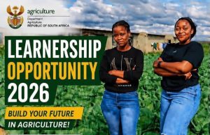 Earn While You Learn: Department of Agriculture Opens 2026 Provincial General Worker Learnership CareersTime learnerships, provincial agricultural training, youth employment South Africa, government skills development. Department of Agriculture learnership 2026, General worker learnership, R9250 stipend learnership, Grade 9 jobs South Africa, ABET learnerships