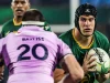 Durban Clash Confirmed: Kick-Off Time Locked In for Springboks vs. Wales at Kings Park Springboks vs Wales Durban 2026 kick off time, Kings Park rugby match schedule, Siya Kolisi return injury update, Rassie Erasmus team selection Wales, Nations Championship Round 3. Springboks vs Wales: Kick-Off Time & Team News for Kings Park Clash