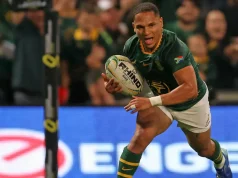 Rassie Erasmus Shakes Up Springbok Scrumhalf Hierarchy Ahead of All Blacks Series Springbok scrumhalves, Herschel Jantjies, Rassie Erasmus, Grant Williams, Cobus Reinach, Embrose Papier, Faf de Klerk. Springboks vs All Blacks 2026, Rugby's Greatest Rivalry, Springbok squad selection, Morné van den Berg, Ellis Park Test. Rassie Erasmus Makes Big Scrumhalf Decision: Jantjies In, Papier Released