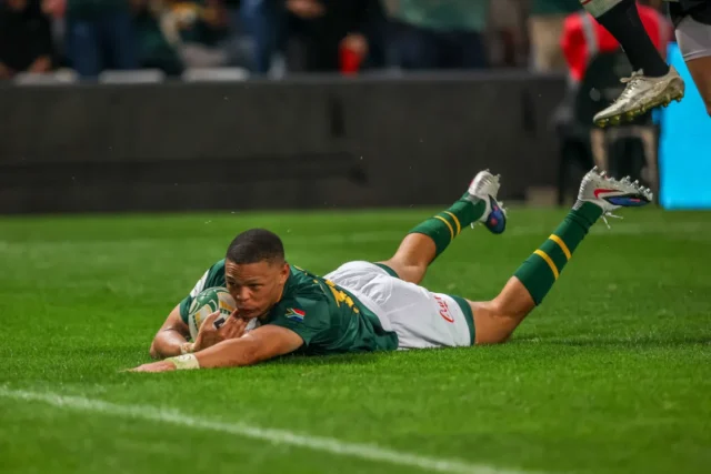 New Springboks 2026, Carlu Sadie Springbok debut, Ruben van Heerden Springbok #958. Vusi Moyo flyhalf, Jaco Williams Glenwood, Springboks vs Wales 43-0, Rassie Erasmus debutants, Affies Springboks. Meet South Africa’s 4 Newest Springboks After Wales Victory
