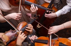 Odeion String Quartet Performs Live at Historic Northwards House in Parktown Beethoven Razumovsky Quartet 2, Motshane Pege composer, Parktown heritage events, live string quartet Joburg, South African chamber music. Odeion String Quartet, Northwards House Parktown, classical music Johannesburg, Chamber Music Collective, Quicket classical tickets.