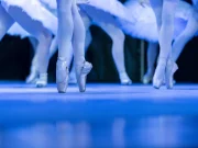 Cape Ballet Africa Brings Classical Masterpiece ‘Swan Lake’ to The Teatro at Montecasino Elena Glurjidze Swan Lake, Tchaikovsky ballet South Africa, classical ballet Johannesburg, things to do in Fourways, Montecasino theater shows. Cape Ballet Africa Swan Lake, Montecasino Swan Lake tickets, The Teatro Fourways shows, Webtickets Swan Lake Joburg, Johannesburg ballet 2026.