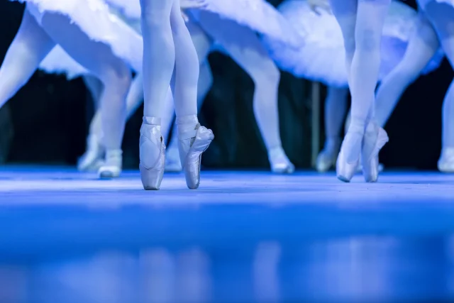 Swan Lake at Montecasino: Dates, Ticket Prices & Show Details Elena Glurjidze Swan Lake, Tchaikovsky ballet South Africa, classical ballet Johannesburg, things to do in Fourways, Montecasino theater shows. Cape Ballet Africa Swan Lake, Montecasino Swan Lake tickets, The Teatro Fourways shows, Webtickets Swan Lake Joburg, Johannesburg ballet 2026.