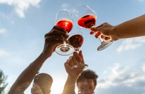 Sip, Savour, and Celebrate: Pick n Pay Wine & Food Festival Returns to The Wanderers Club Tjaart Walraven tasting room, PnP Wine Club early access, mixology masterclass Joburg, Illovo food and wine, things to do in Sandton. Pick n Pay Wine Food Festival, The Wanderers Club events, Webtickets Wine Festival Joburg, Illovo wine tasting 2026, Johannesburg Women's Day events.