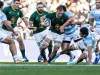 Rassie Erasmus Praises Cameron Hanekom After Argentina Heroics — But Warns Against Hype Cameron Hanekom. Cameron Hanekom Springboks. Rassie Erasmus. Springboks. Springboks vs Argentina. South Africa vs Argentina rugby. Springboks latest news. Cameron Hanekom try. Jasper Wiese. Springboks No. 8. Springboks team selection. Springboks rugby. South African rugby. Argentina Pumas. Los Pumas. Springboks 2026. Rugby Championship. Springboks squad depth. Springboks 2027 Rugby World Cup