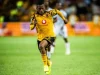Hometown Hero Ashley du Preez Bids Emotional Farewell to Chiefs for Stellenbosch Return Ashley du Preez Kaizer Chiefs exit, Stellies transfer news, Betway Premiership transfers, Given Msimango Stellenbosch, Rob Benadie. Ashley du Preez Stellenbosch return