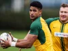 Springboks vs Argentina: Team News, Line-Ups, and Kick-Off Details Springboks vs Argentina, South Africa rugby, Siya Kolisi, Eben Etzebeth, Los Pumas, Springbok team line-up. Springboks vs Argentina: Line-Ups, Kick-Off Time & Match Preview