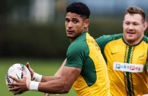 Springboks vs Argentina: Team News, Line-Ups, and Kick-Off Details Springboks vs Argentina, South Africa rugby, Siya Kolisi, Eben Etzebeth, Los Pumas, Springbok team line-up. Springboks vs Argentina: Line-Ups, Kick-Off Time & Match Preview