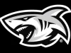 Our Core Never Will”: The Sharks Unveil Bold New Identity and Logo for 30th Anniversary Hollywoodbets Sharks rebrand, Sharks rugby new logo, Shaun Bryans, Reebok Sharks rugby, URC rugby South Africa. The Sharks new logo and brand identity