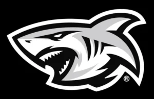 Our Core Never Will”: The Sharks Unveil Bold New Identity and Logo for 30th Anniversary Hollywoodbets Sharks rebrand, Sharks rugby new logo, Shaun Bryans, Reebok Sharks rugby, URC rugby South Africa. The Sharks new logo and brand identity