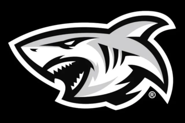 Hollywoodbets Sharks rebrand, Sharks rugby new logo, Shaun Bryans, Reebok Sharks rugby, URC rugby South Africa. The Sharks new logo and brand identity