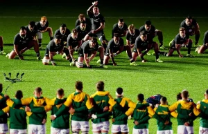 LIVE: Springboks vs All Blacks — Ellis Park Braced for Rugby’s Greatest Rivalry Springboks vs All Blacks live score. Springboks vs All Blacks. Springboks All Blacks live. Springboks live score. All Blacks live score. Springboks vs All Blacks 2026. Springboks team news. All Blacks team news. Ellis Park rugby. Rugby's Greatest Rivalry. Springboks All Blacks result. South Africa vs New Zealand rugby