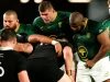 Springboks vs All Blacks: Complete Head-to-Head History Ahead of Cape Town clash Springboks vs All Blacks, Springboks head to head record, Rugby's Greatest Rivalry, South Africa vs New Zealand test, Cape Town Stadium rugby.