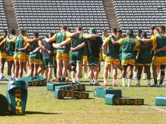 RETURN IN SIGHT: Frans Malherbe Targets January Comeback to Stave Off Retirement Fear Frans Malherbe injury update, Frans Malherbe retirement, Springboks rugby news, Rassie Erasmus, Stormers rugby, Thomas du Toit, Wilco Louw, Springbok tighthead props. Frans Malherbe Injury Update: Springbok Legend Targets January Comeback