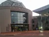 SAFA Explains Why Bafana Bafana World Cup Bonuses Are Still Unpaid Bafana Bafana, SAFA, Bafana Bafana bonuses, World Cup bonuses, FIFA World Cup 2026, SAFA news, Bafana Bafana players, South African football, R65 million, football news, World Cup payments
